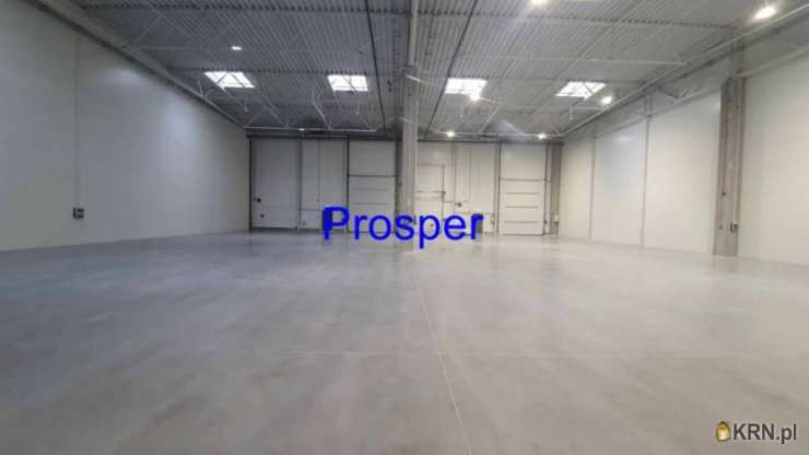 Lokal użytkowy  do wynajęcia, Ruda Śląska, ul. , 