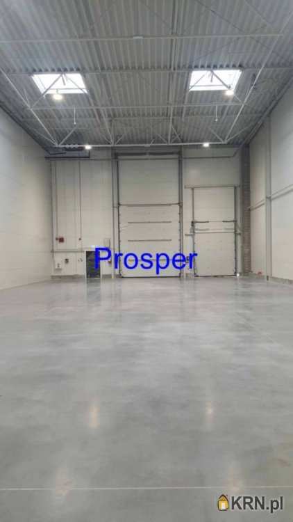 Lokal użytkowy  do wynajęcia, , Ruda Śląska, ul. 