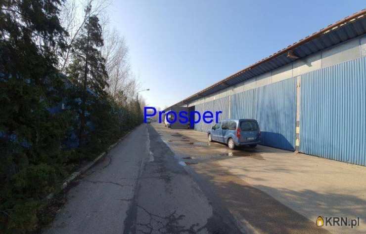 Lokal użytkowy  do wynajęcia, Sosnowiec, ul. , 