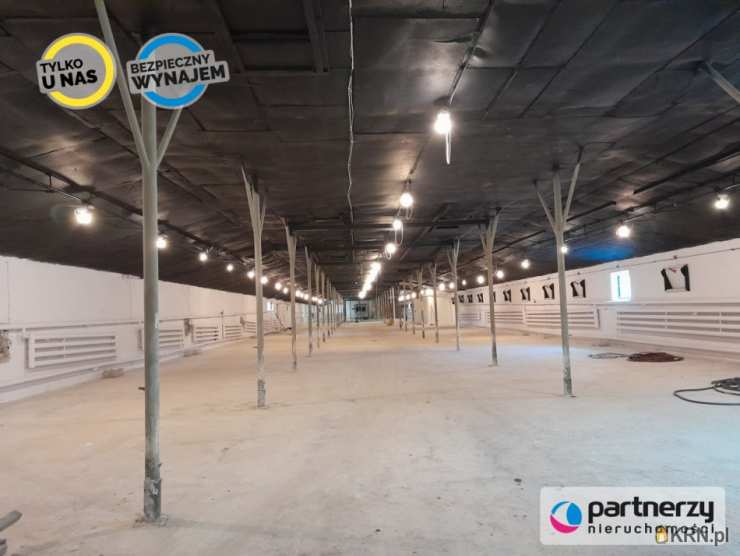 Chwaszczyno, ul. Podleśna, , Lokal użytkowy  do wynajęcia