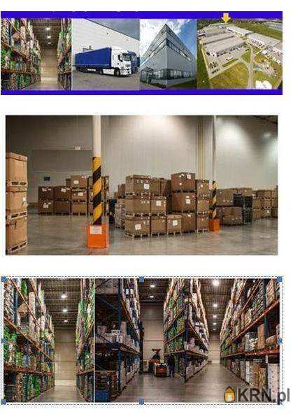 Lokal użytkowy  do wynajęcia, Czeladź, Piaski, ul. , 