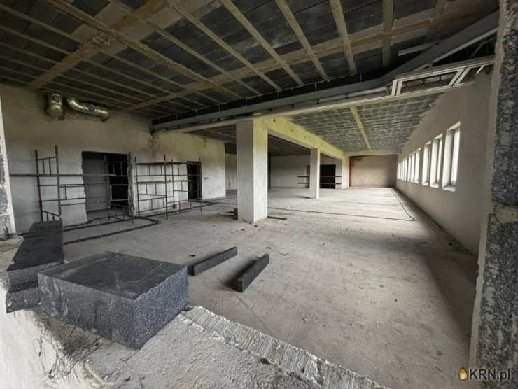 20 pokojowe, Lokal użytkowy  na sprzedaż, Odolanów, ul. 