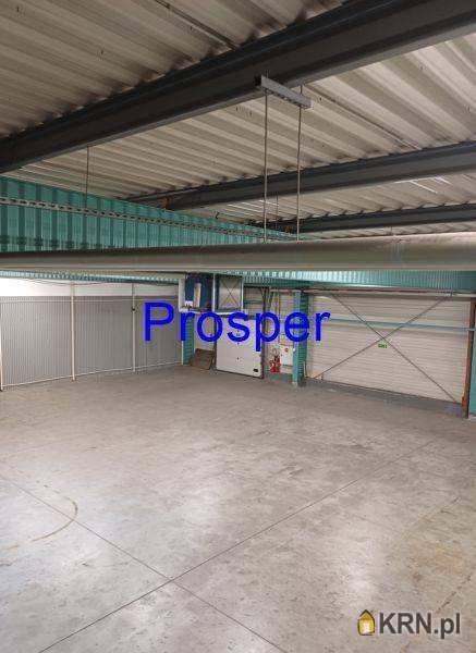 Lokal użytkowy  do wynajęcia, Sosnowiec, ul. , 