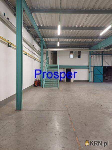 Lokal użytkowy  do wynajęcia, , Sosnowiec, ul. 