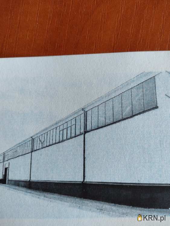 Lokal użytkowy  do wynajęcia, Toruń, Jakubskie Przedmieście, ul. , 8 pokojowe