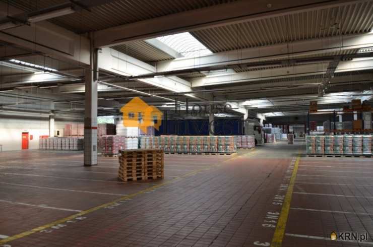 Lokal użytkowy  do wynajęcia, Wrocław, ul. , 8 pokojowe