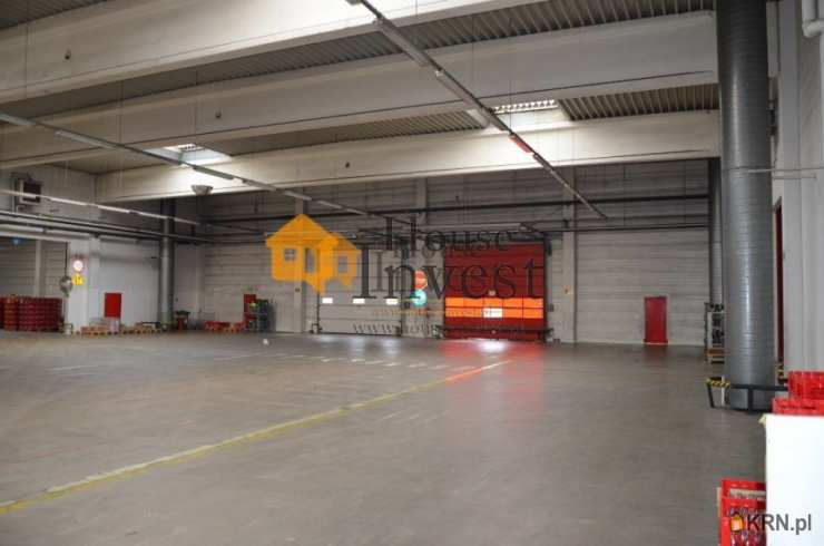 Lokal użytkowy  do wynajęcia, 8 pokojowe, Wrocław, ul. 