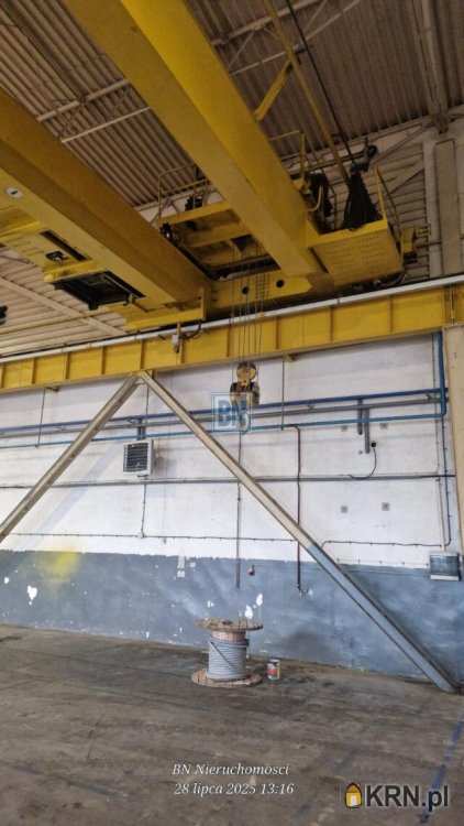 Lokal użytkowy  do wynajęcia, 7 pokojowe, Zabrze, ul. 