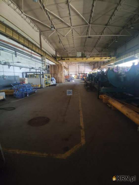 Zabrze, ul. , Lokal użytkowy  do wynajęcia, 7 pokojowe