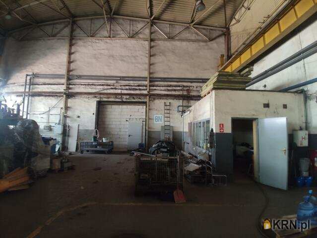 BN Nieruchomości, Lokal użytkowy  do wynajęcia, Zabrze, ul. 