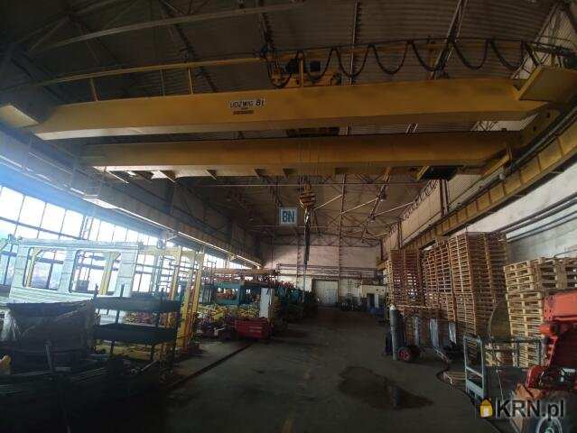 Lokal użytkowy  do wynajęcia, Zabrze, ul. , 7 pokojowe