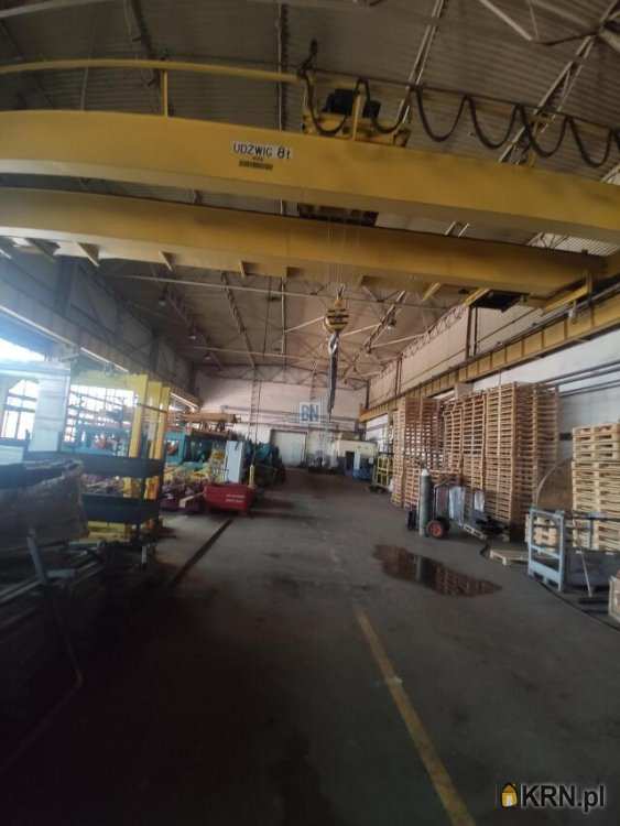 Lokal użytkowy  do wynajęcia, 7 pokojowe, Zabrze, ul. 