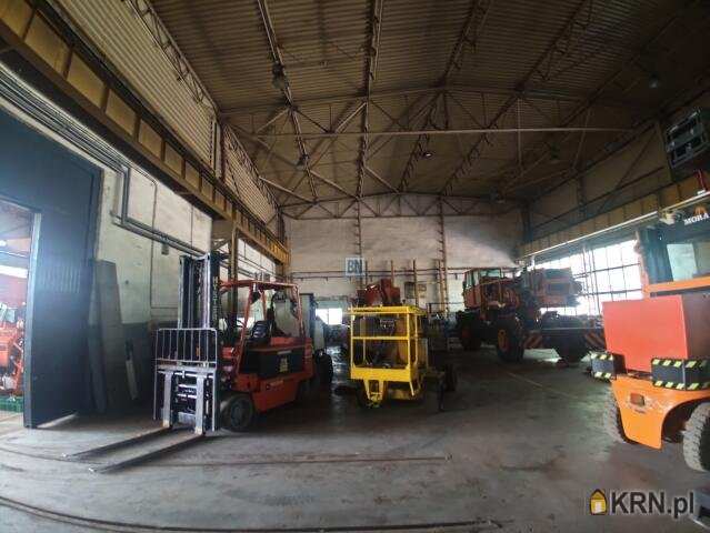 Zabrze, ul. , Lokal użytkowy  do wynajęcia, 7 pokojowe