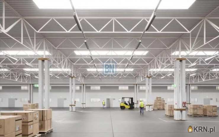 , Zabrze, ul. , Lokal użytkowy  do wynajęcia