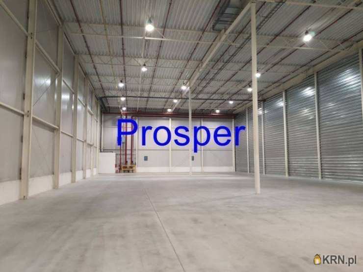 Lokal użytkowy  do wynajęcia, Czeladź, Piaski, ul. , 