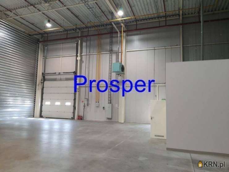 Lokal użytkowy  do wynajęcia, , Czeladź, Piaski, ul. 