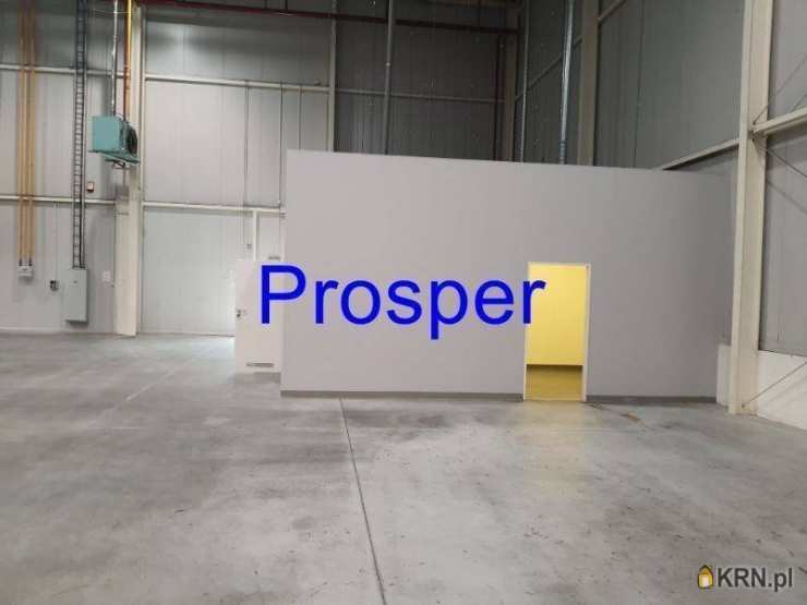 Czeladź, Piaski, ul. , Lokal użytkowy  do wynajęcia, 