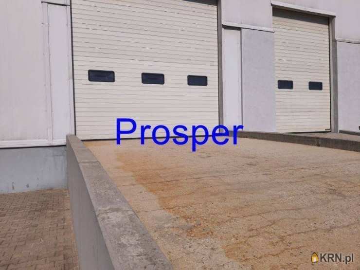 , Czeladź, Piaski, ul. , Lokal użytkowy  do wynajęcia