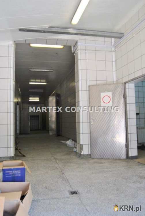 Lokal użytkowy  do wynajęcia, Wodzisław Śląski, ul. , 