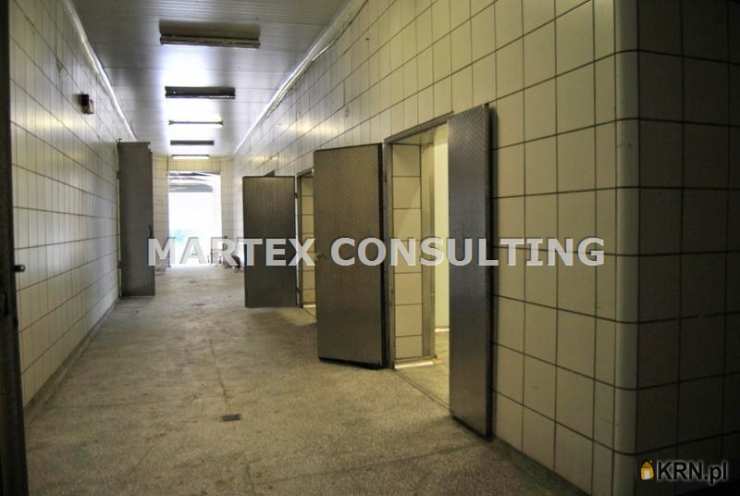 Wodzisław Śląski, ul. , Lokal użytkowy  do wynajęcia, 