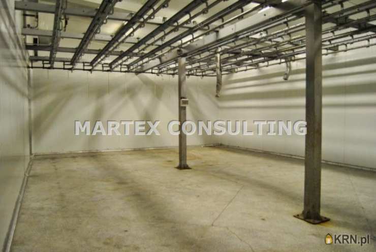 , Wodzisław Śląski, ul. , Lokal użytkowy  do wynajęcia