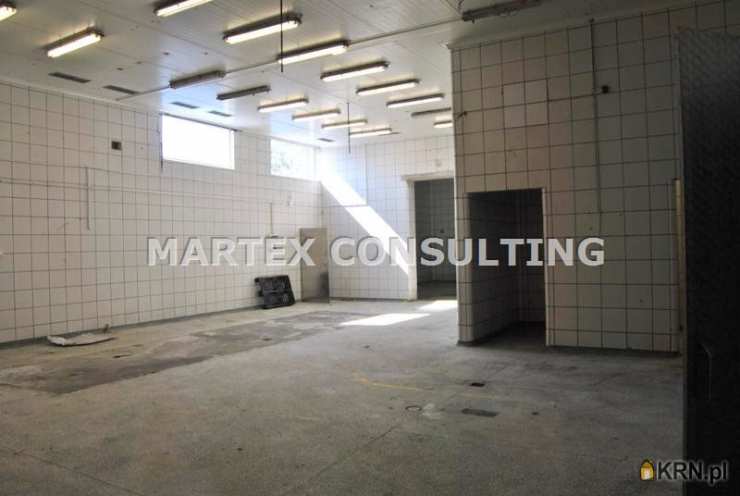 Lokal użytkowy  do wynajęcia, , Wodzisław Śląski, ul. 