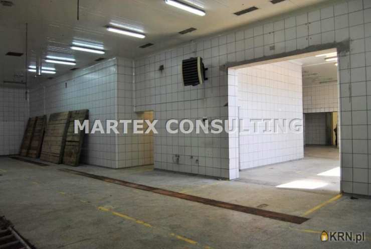 Wodzisław Śląski, ul. , Lokal użytkowy  do wynajęcia, 