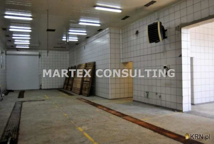 Wodzisław Śląski, ul. , , Lokal użytkowy  do wynajęcia