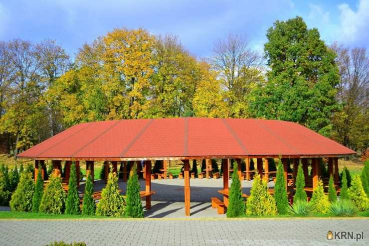 Lokal użytkowy  na sprzedaż, Skrzyszów, ul. , 