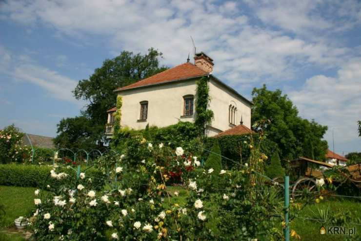 Lokal użytkowy  na sprzedaż, , Skrzyszów, ul. 