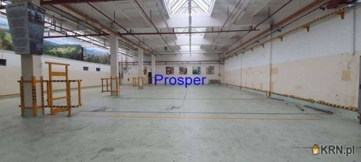 Lokal użytkowy  do wynajęcia, Bielsko-Biała, ul. , 