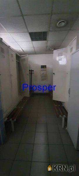 Lokal użytkowy  do wynajęcia, , Bielsko-Biała, ul. 