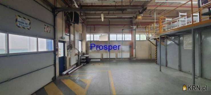 Bielsko-Biała, ul. , , Lokal użytkowy  do wynajęcia