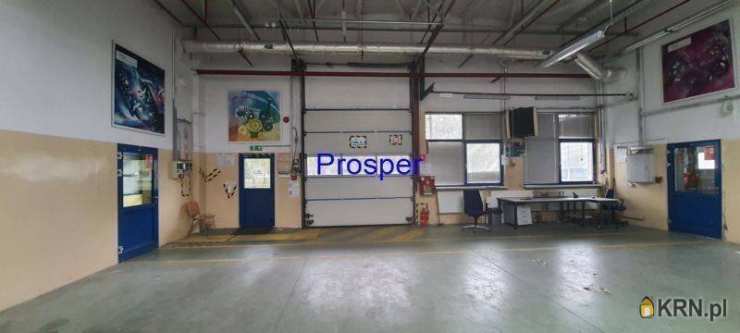 , Bielsko-Biała, ul. , Lokal użytkowy  do wynajęcia