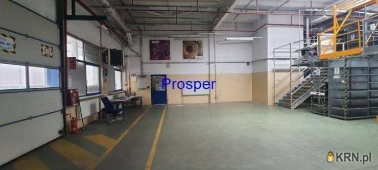 , Lokal użytkowy  do wynajęcia, Bielsko-Biała, ul. 