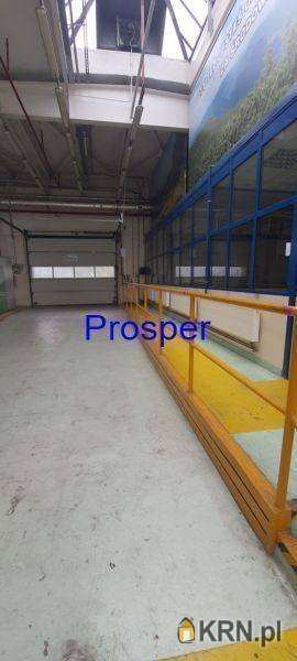 Prosper - Nieruchomości, Lokal użytkowy  do wynajęcia, Bielsko-Biała, ul. 