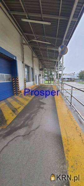 Lokal użytkowy  do wynajęcia, , Bielsko-Biała, ul. 