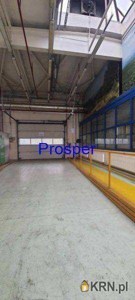 Bielsko-Biała, ul. , Lokal użytkowy  do wynajęcia, 