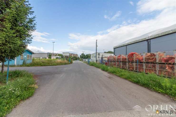 Pruszcz Gdański, ul. Obrońców Westerplatte, , Lokal użytkowy  do wynajęcia