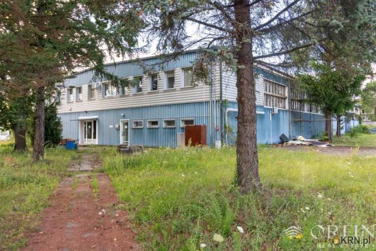 Orfin Nieruchomości, Lokal użytkowy  do wynajęcia, Pruszcz Gdański, ul. Obrońców Westerplatte