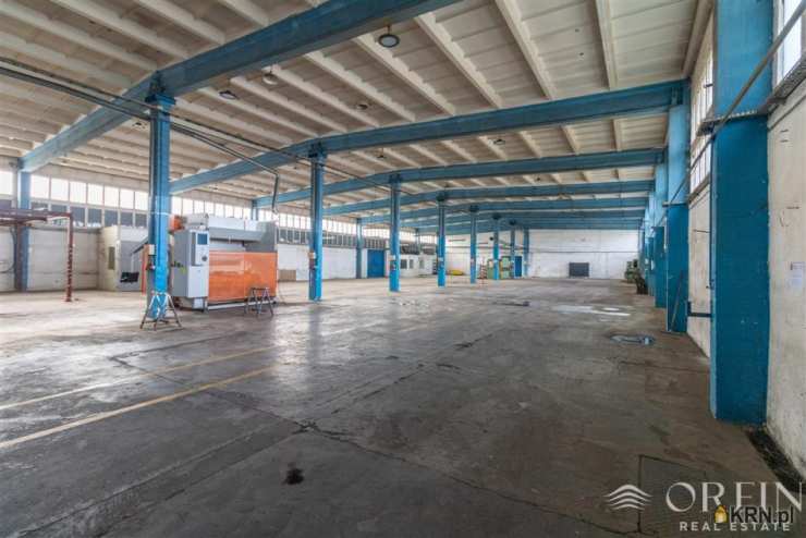 Lokal użytkowy  do wynajęcia, , Pruszcz Gdański, ul. Obrońców Westerplatte