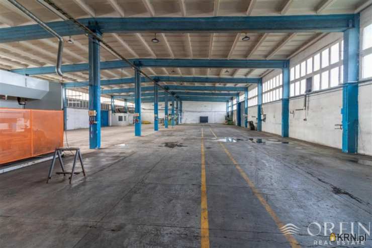 Pruszcz Gdański, ul. Obrońców Westerplatte, Lokal użytkowy  do wynajęcia, 