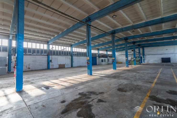 Pruszcz Gdański, ul. Obrońców Westerplatte, , Lokal użytkowy  do wynajęcia