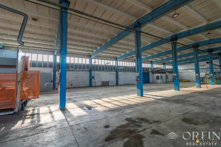 , Pruszcz Gdański, ul. Obrońców Westerplatte, Lokal użytkowy  do wynajęcia