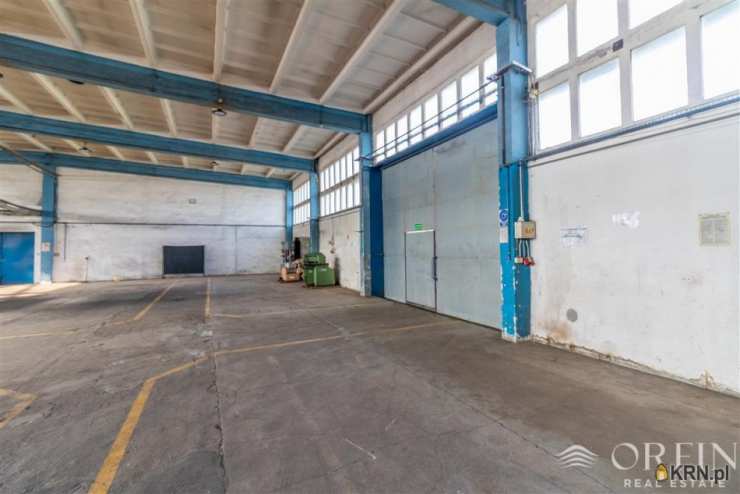 , Lokal użytkowy  do wynajęcia, Pruszcz Gdański, ul. Obrońców Westerplatte