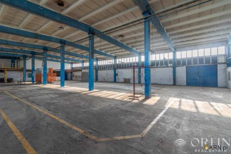 Orfin Nieruchomości, Lokal użytkowy  do wynajęcia, Pruszcz Gdański, ul. Obrońców Westerplatte