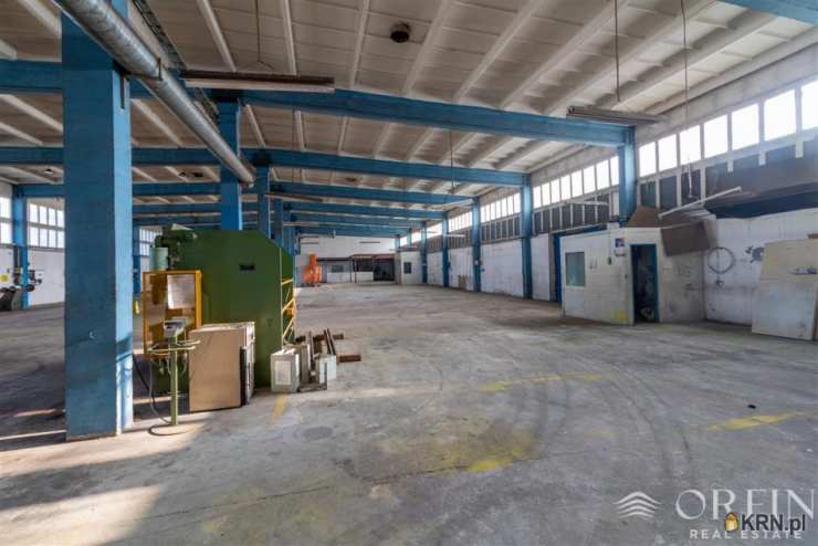 Lokal użytkowy  do wynajęcia, Pruszcz Gdański, ul. Obrońców Westerplatte, 