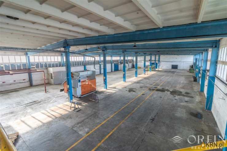 Lokal użytkowy  do wynajęcia, Pruszcz Gdański, ul. Obrońców Westerplatte, 