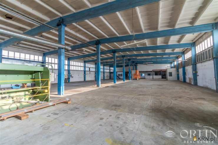 Lokal użytkowy  do wynajęcia, , Pruszcz Gdański, ul. Obrońców Westerplatte