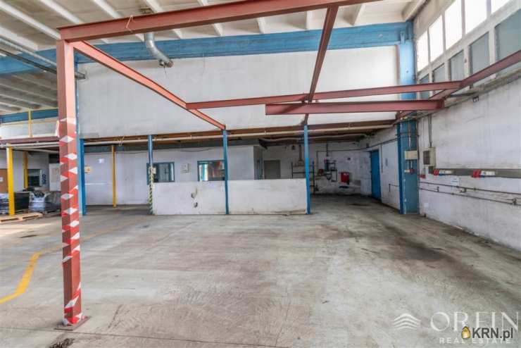 Lokal użytkowy  do wynajęcia, Pruszcz Gdański, ul. Obrońców Westerplatte, 